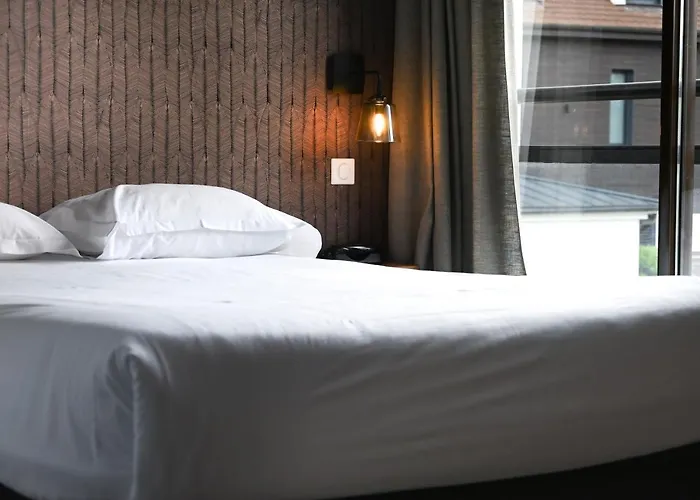 Hotel Les Muses Annecy